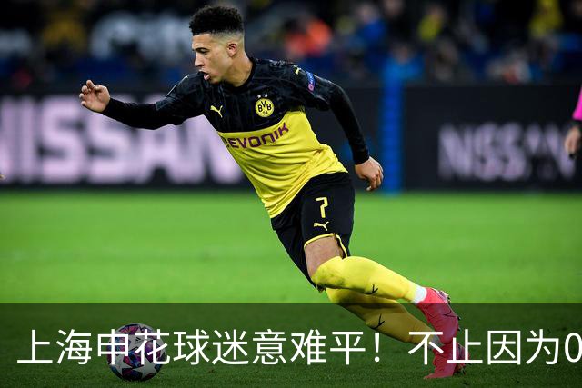 上海申花球迷意难平！不止因为0-2上海海港，更多在于以下五点！