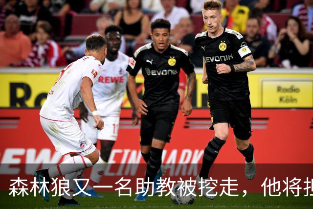 森林狼又一名助教被挖走，他将担任法甲联赛劲旅的新任主教练