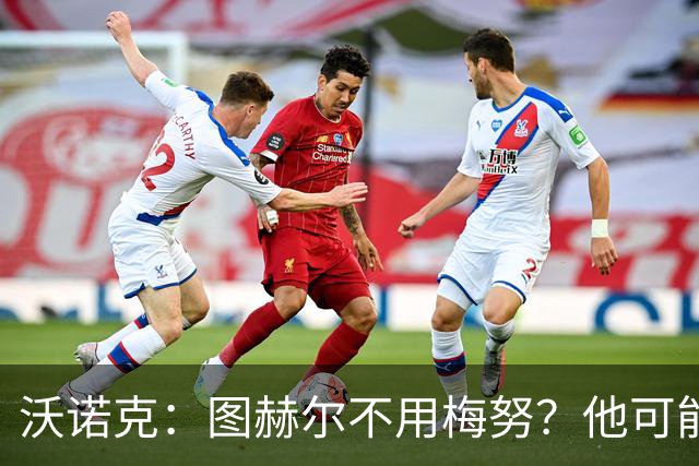 沃诺克：图赫尔不用梅努？他可能担心梅努踢得好会显得他愚蠢