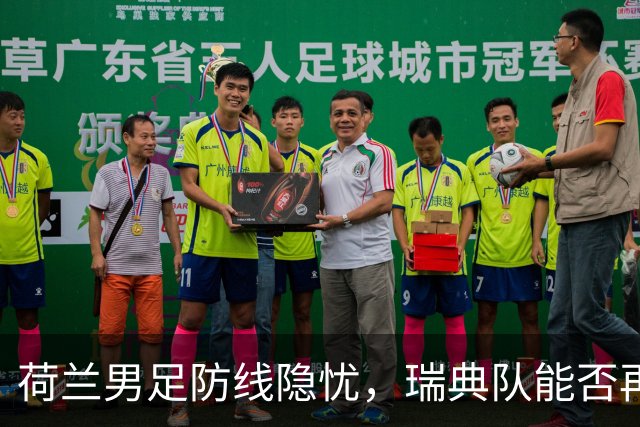 荷兰男足防线隐忧，瑞典队能否再续佳绩？