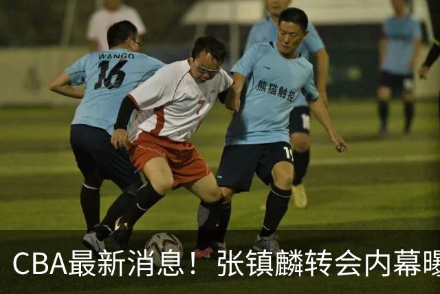 CBA最新消息！张镇麟转会内幕曝光，广东接触区俊炫，杨鸣收到北方球队报价
